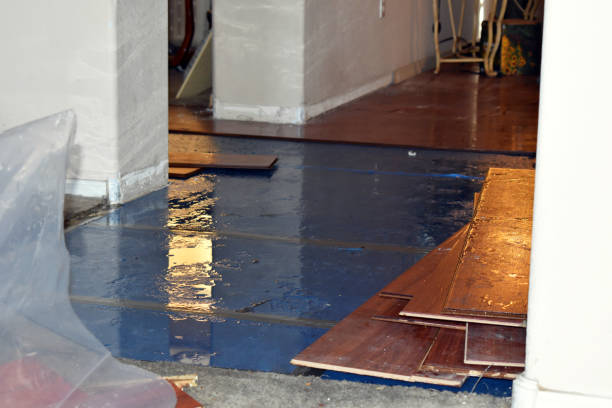 Professional Sewage Cleanup technician working in Shamrock, TX