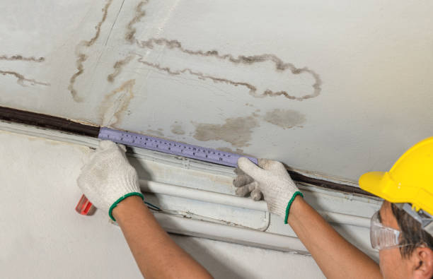 Reliable Sewage Cleanup contractor in Shamrock, TX by Water Damage Irwin